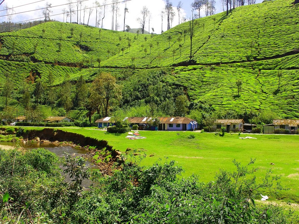 Munnar Tour Package